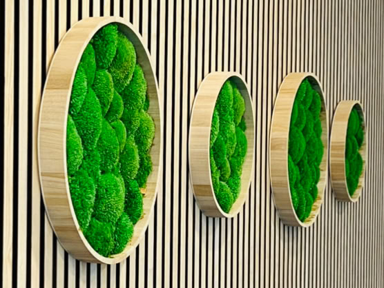 Dekoration Empfangsbereich